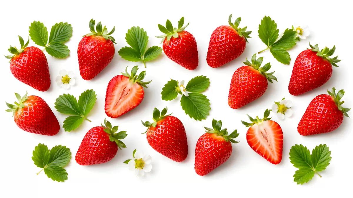 Frische Erdbeeren mit Blättern und Blüten auf Weiß