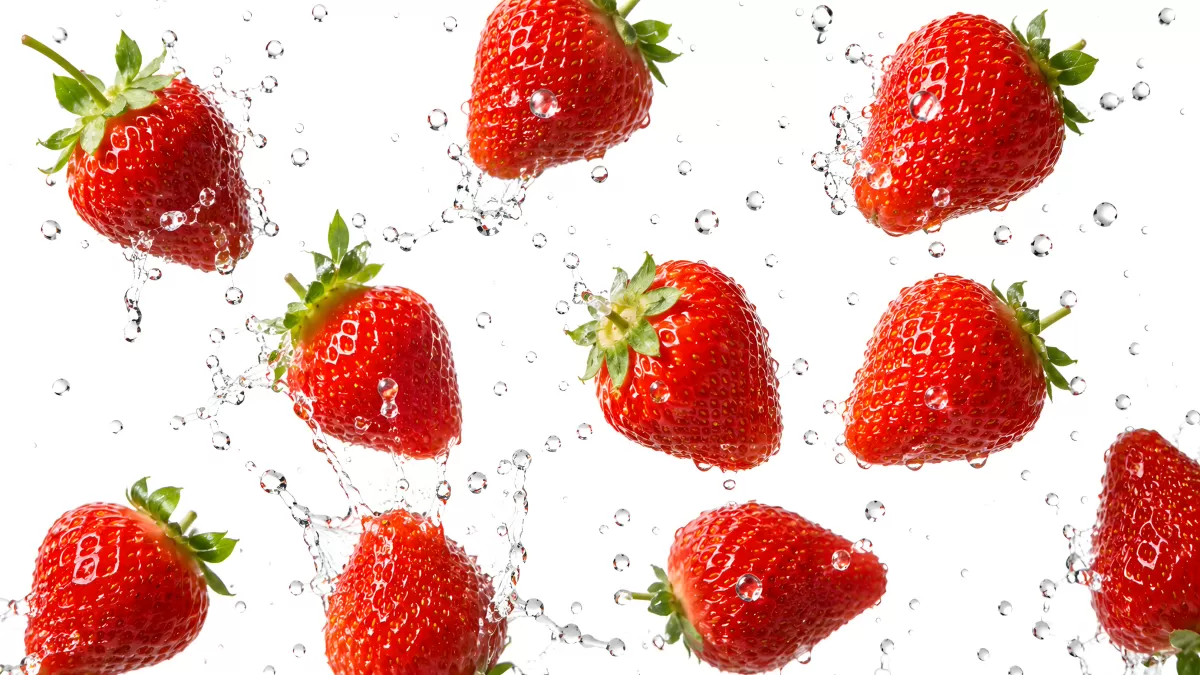 Frische Erdbeeren mit spritzenden Wassertropfen