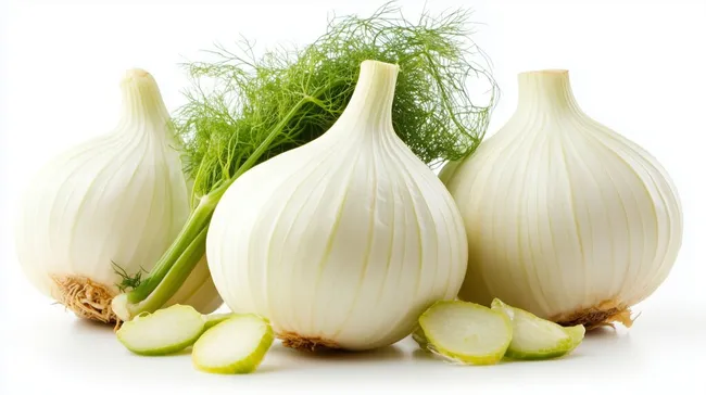 Frische Fenchelknollen auf weißem Hintergrund