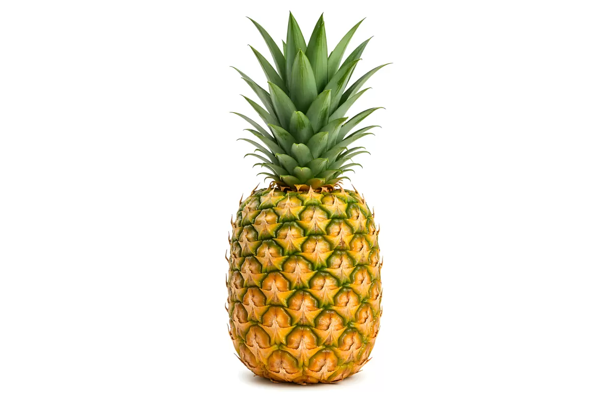 Frische ganze Ananas mit grünem Blattschopf