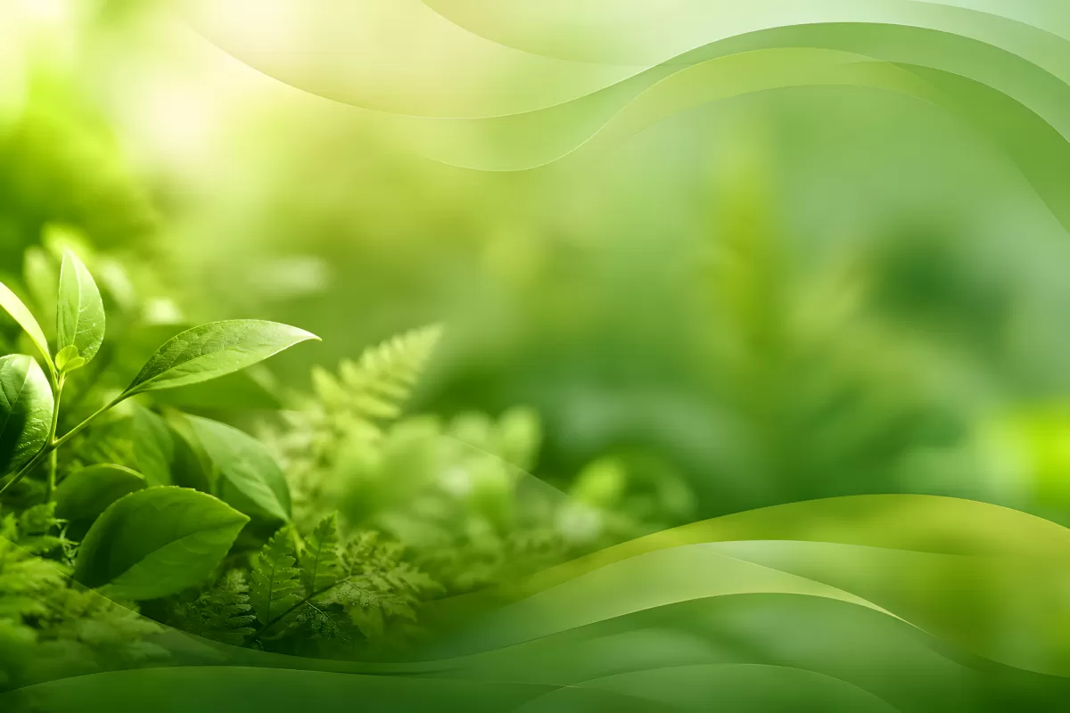 Frische grüne Blätter und Farne im Sonnenlicht