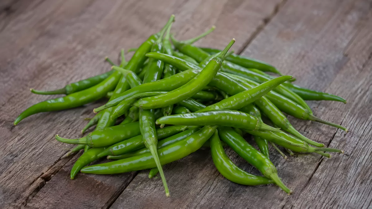 Frische grüne Chilischoten auf altem Holztisch