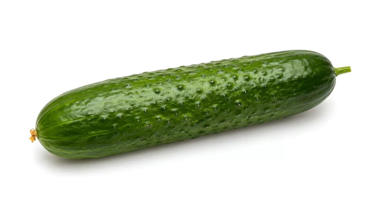 Frische grüne Salatgurke auf weißem Hintergrund