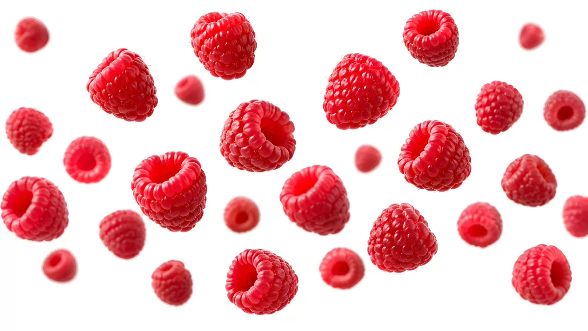 Frische Himbeeren schweben vor weißem Hintergrund