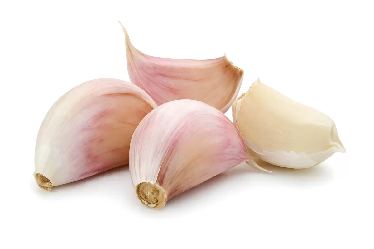 Frische Knoblauchzehen auf weißem Hintergrund