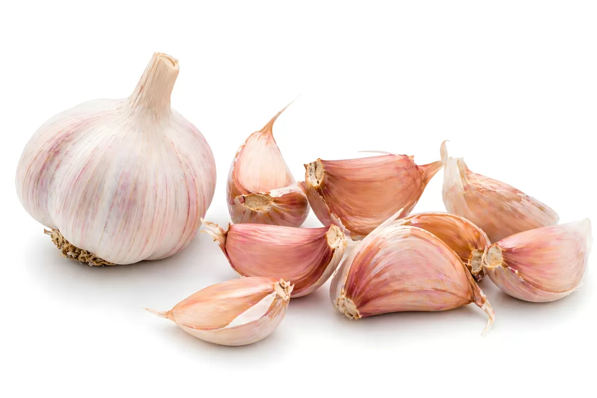 Frische Knoblauchzehen und ganze Knolle auf Weiß