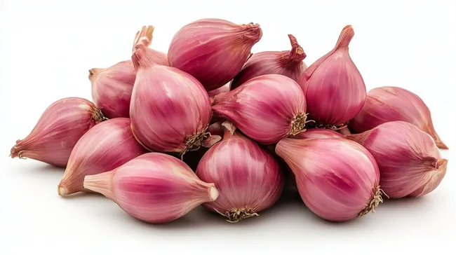 Frische Knoblauchzwiebeln auf weißem Hintergrund