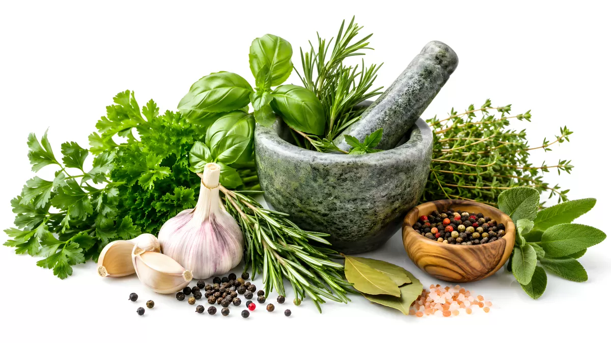Frische Kräuter mit Mörser, Knoblauch und Gewürzen