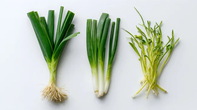 Frische Lauchzwiebeln und Microgreens auf weißem Hintergrund