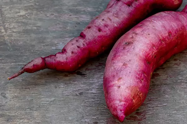 Frische lila Süßkartoffel auf Holztisch