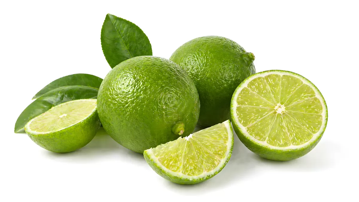 Frische Limetten ganz und aufgeschnitten auf Weiß