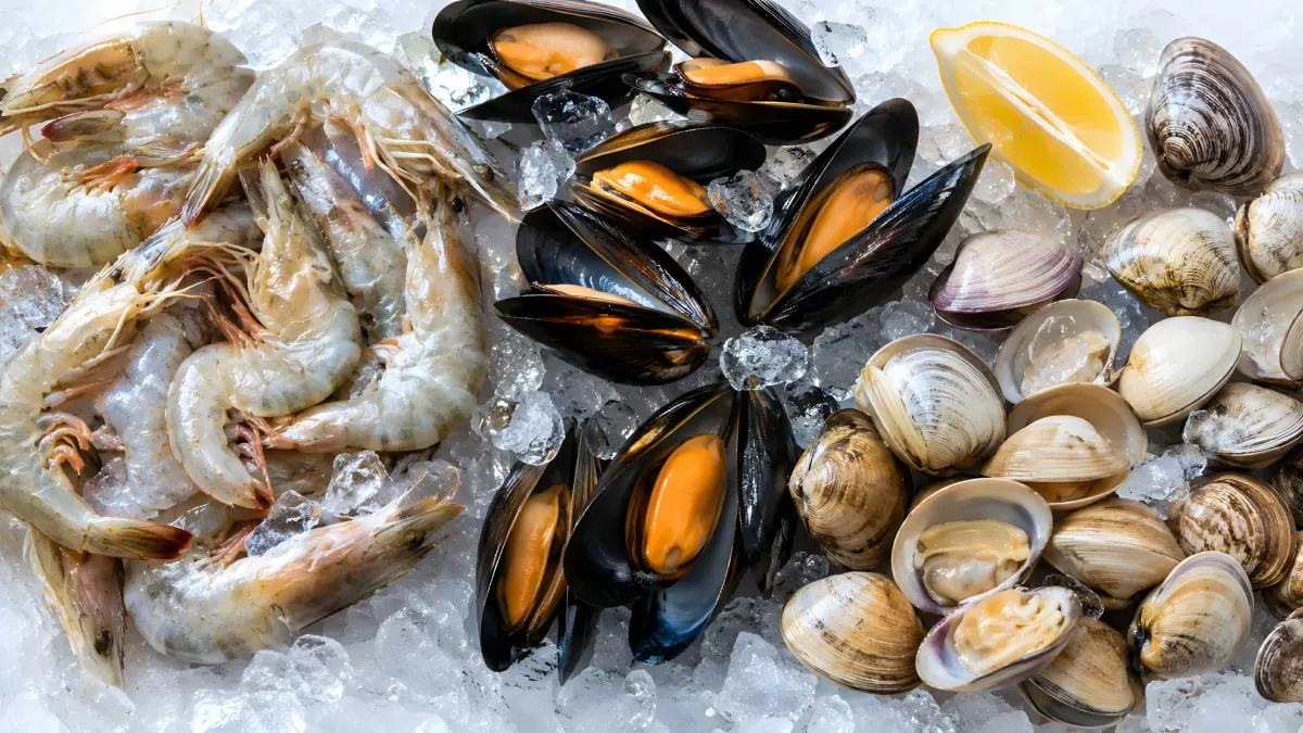 Frische Meeresfrüchte auf Eis mit Zitrone — Bild kostenlos herunterladen