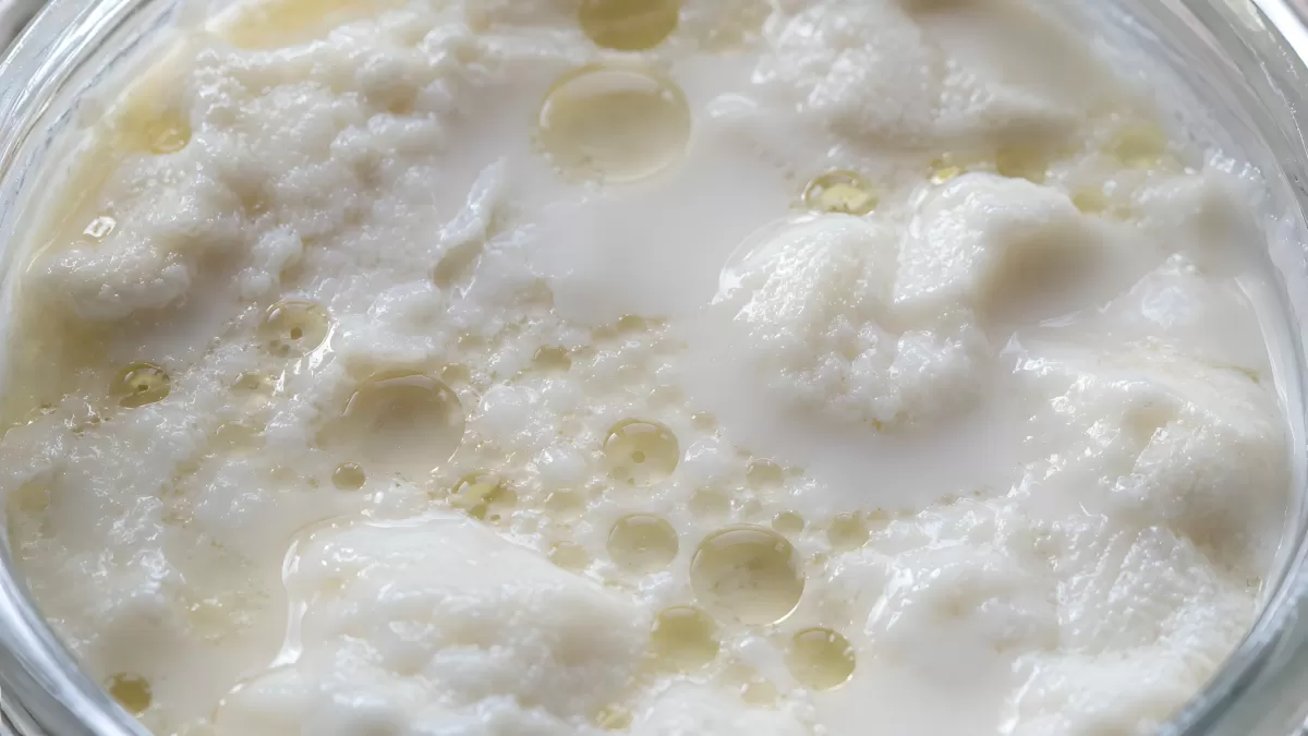 Frische Milch mit Schaum und Molke in Glasschüssel — Bild kostenlos herunterladen