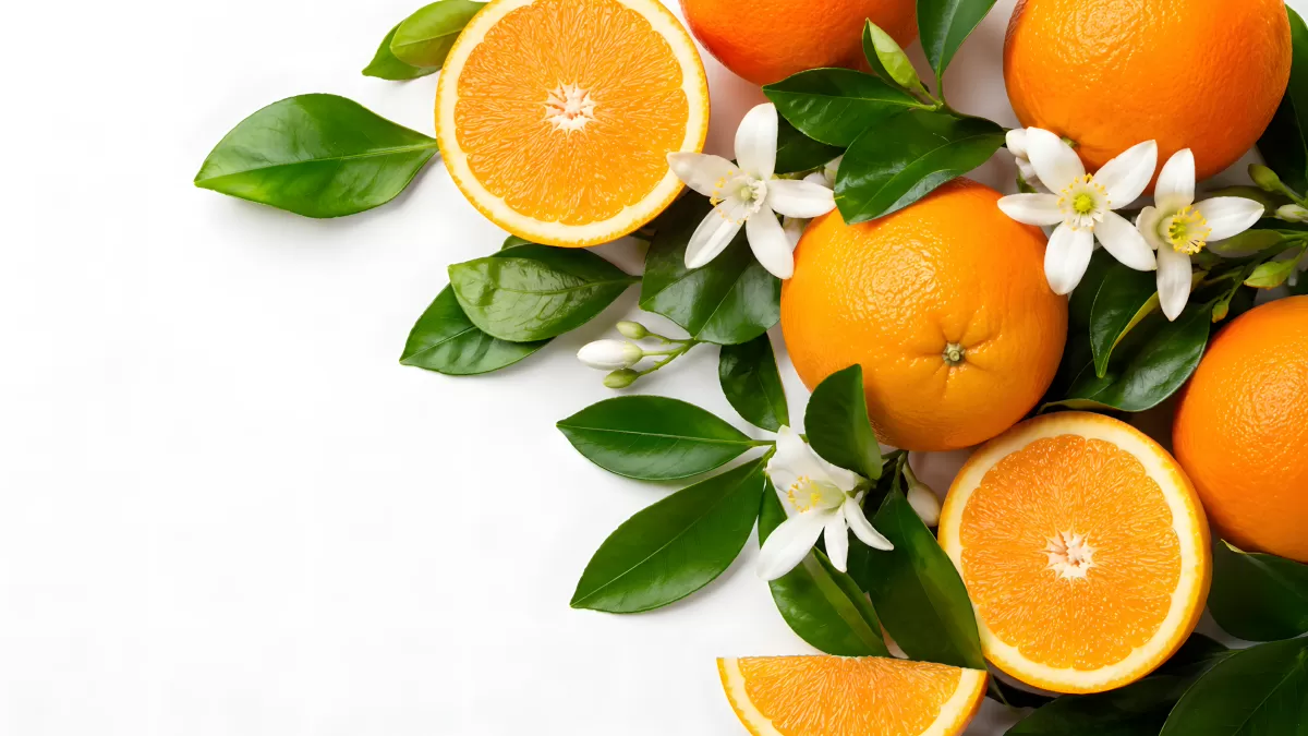 Frische Orangen mit Blüten und Blättern auf Weiß