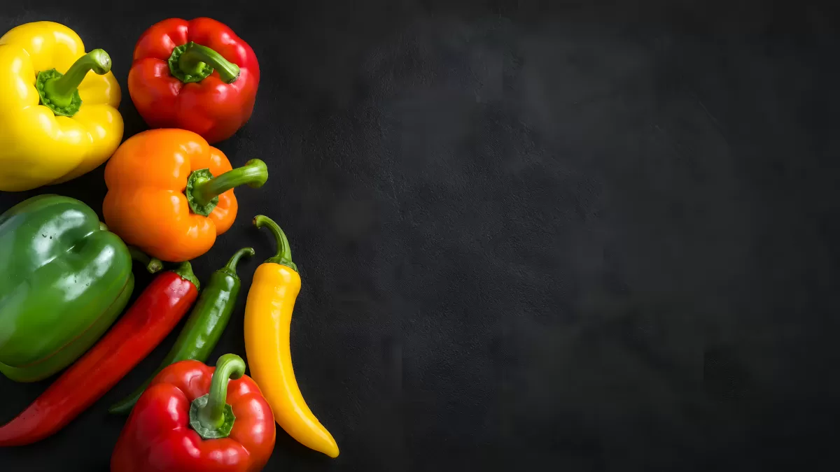 Frische Paprika und Chilis auf dunklem Grund