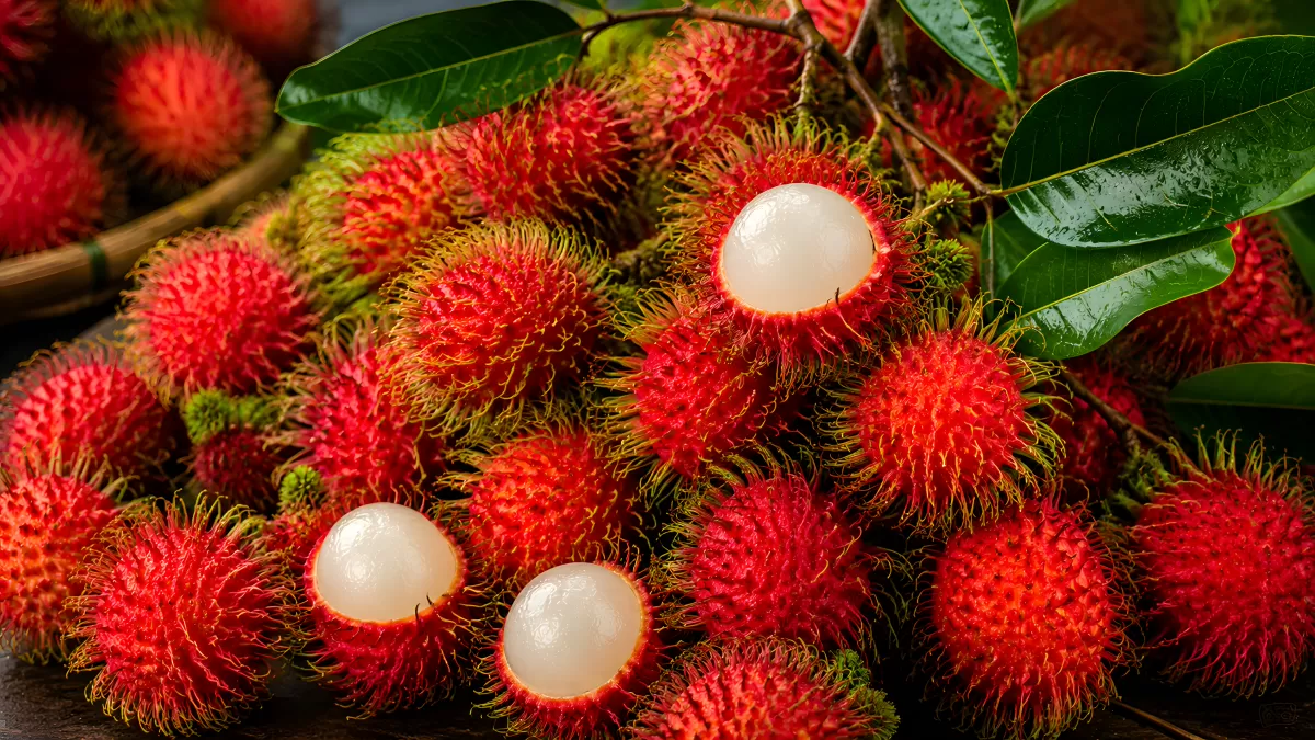 Frische Rambutan-Früchte mit weißem Fruchtfleisch