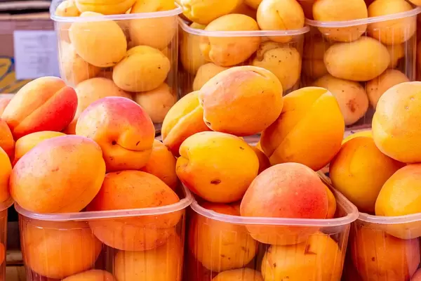 Frische reife Aprikosen in Plastikschalen in Verkaufsauslage