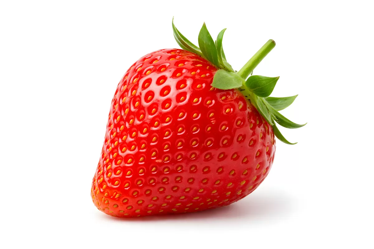 Frische rote Erdbeere mit grünem Stiel auf Weiß