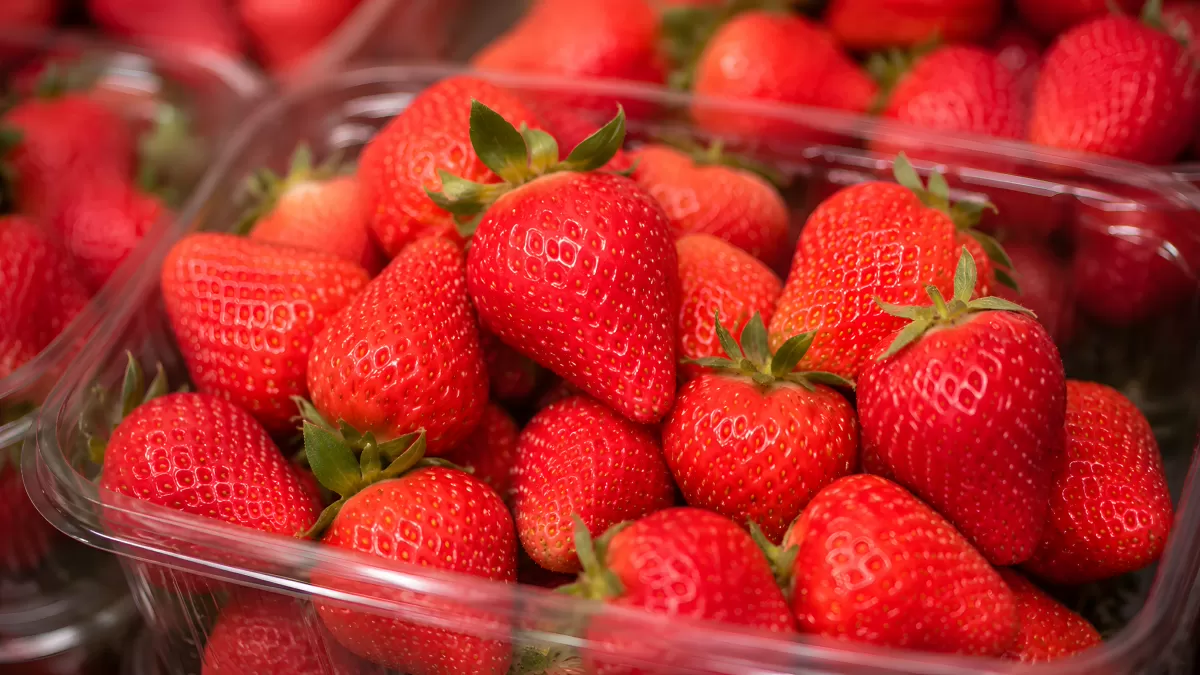 Frische rote Erdbeeren in transparenter Plastikschale