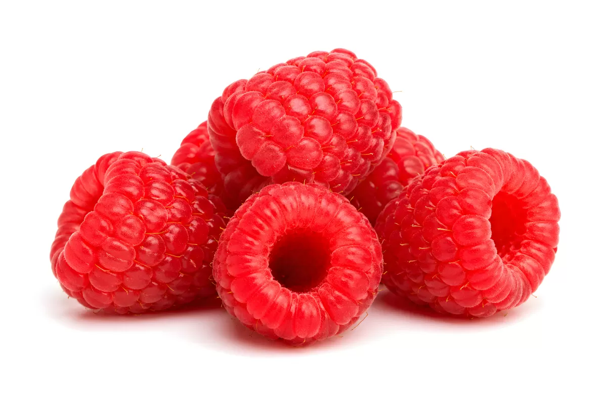 Frische rote Himbeeren auf weißem Hintergrund