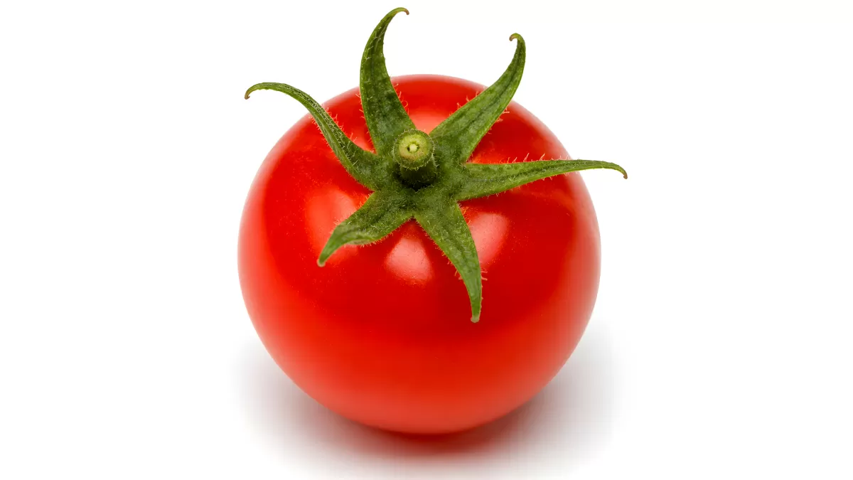 Frische rote Tomate mit grünem Stiel von oben