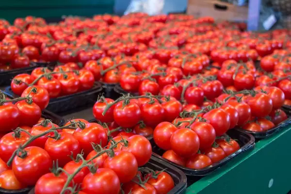 Frische rote Tomaten auf einem Markt