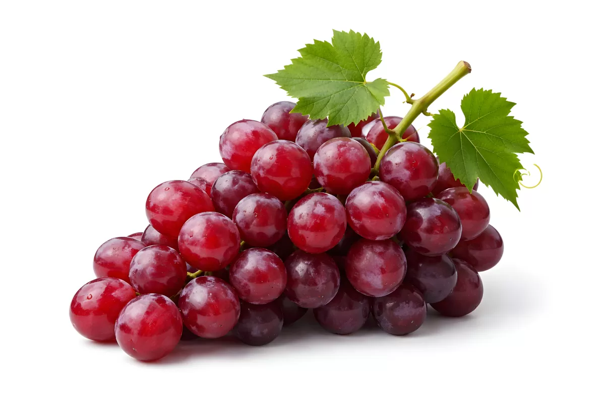 Frische rote Weintrauben