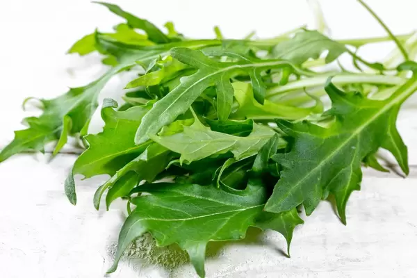 Frische Ruccolablätter auf weißem Holzuntergrund