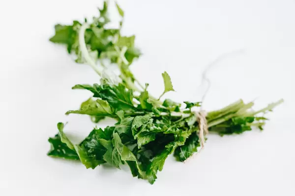 Frische Rukola vor weißem Hintergrund