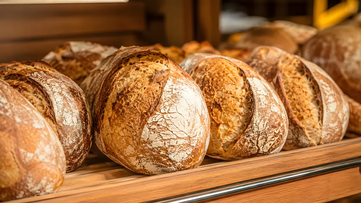 Frische Sauerteigbrote in der Bäckerei auf Holzregal
