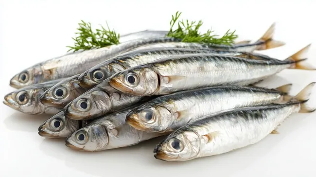 Frische Sprotte-Filets mit Kräutern auf weißem Hintergrund