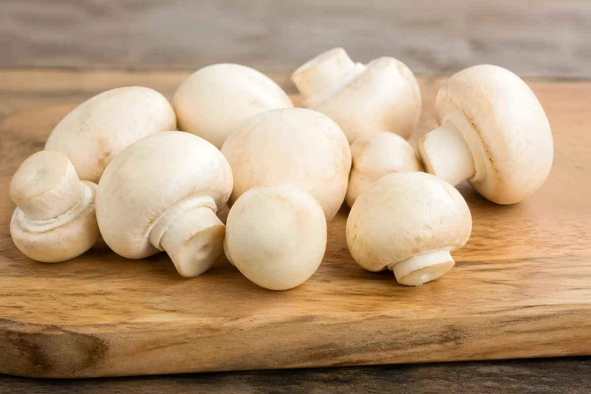 Frische weiße Champignons auf einem Holzbrett