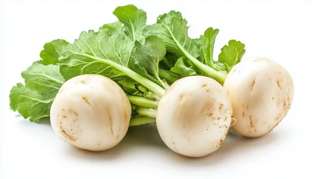 Frische Winterrüben mit Grünlaub auf hellem Hintergrund