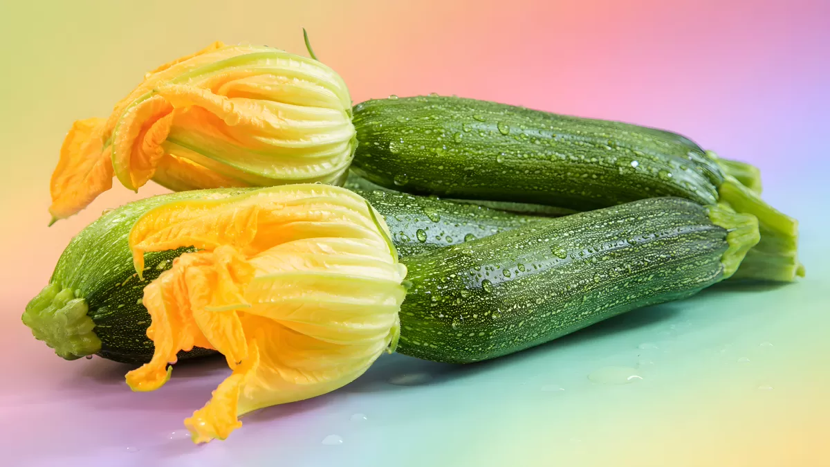 Frische Zucchini mit gelben Blüten auf buntem Hintergrund
