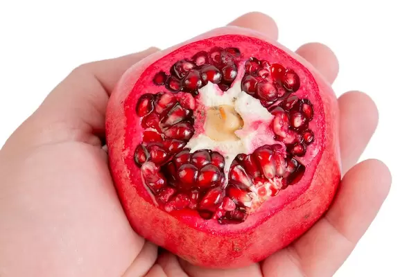 Frischer, angeschnittener Granatapfel in einer Hand auf weißem Hintergrund
