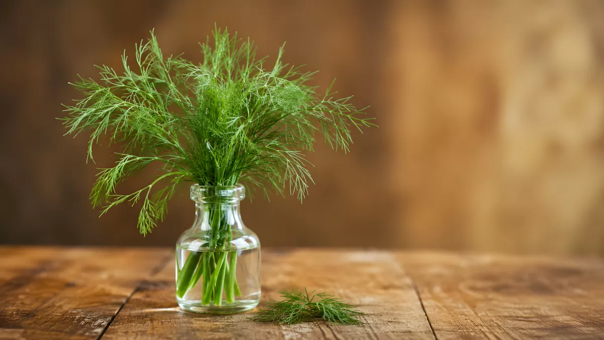 Frischer Dill in kleiner Glasflasche auf Holztisch