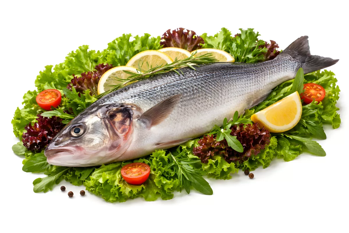 Frischer Fisch mit Zitrone und Salat