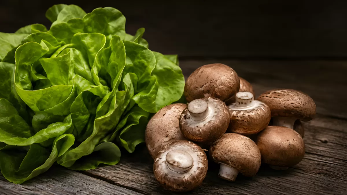 Frischer Kopfsalat und braune Champignons auf Holz