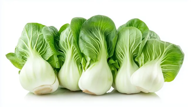 Frischer Pak Choi vor weißem Hintergrund