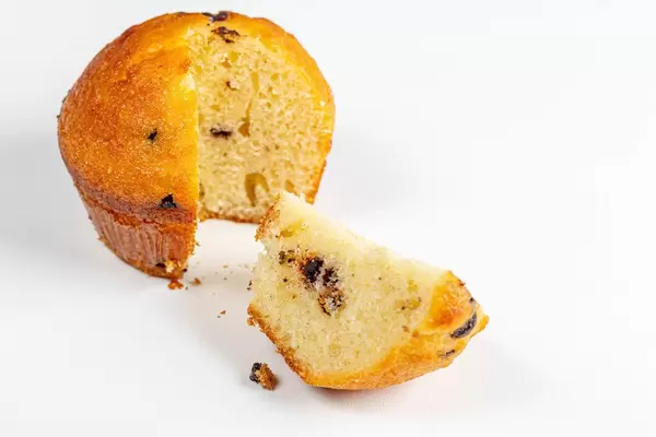 Frischer Schwammmuffin mit Vanillegeschmack und Schokostückchen