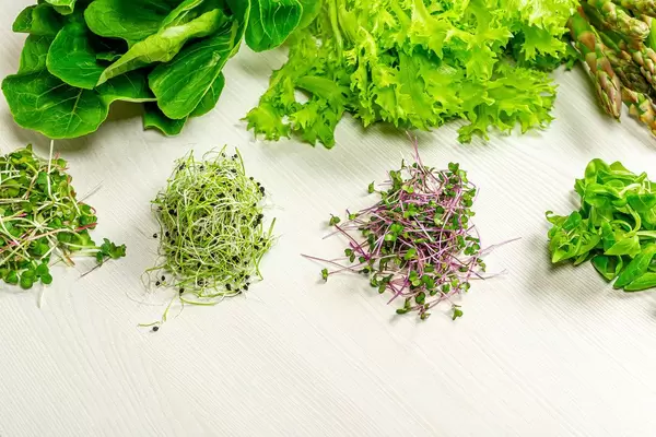 Frisches Mikrogrün, Römer-Salat und Spargel auf weißem Holzhintergrund