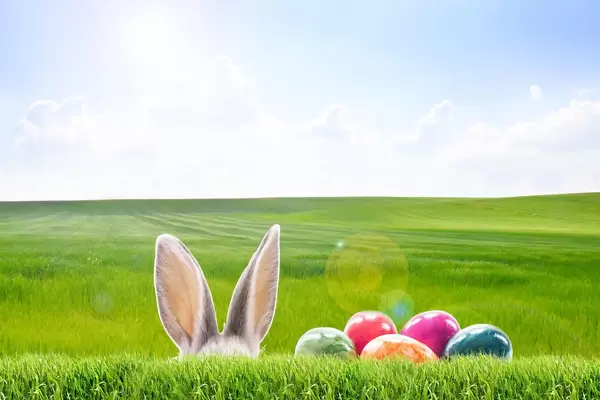 Frohe Ostern am 05.04.2026
