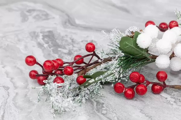Frozen berryes and frozen fir branches Christmass decoration