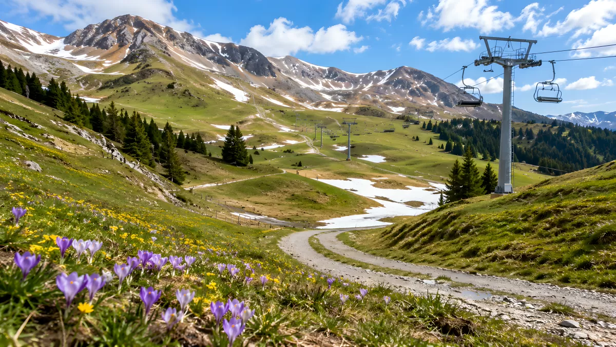 Frühling in den Alpen mit Krokussen und Sessellift