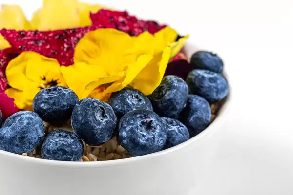 Frühstück mit Haferflocken, Blaubeeren, Pitahaya und Blumen in einer weißen Schüssel vor weißem Hintergrund