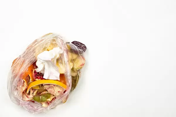 Fruit scraps collected for composting