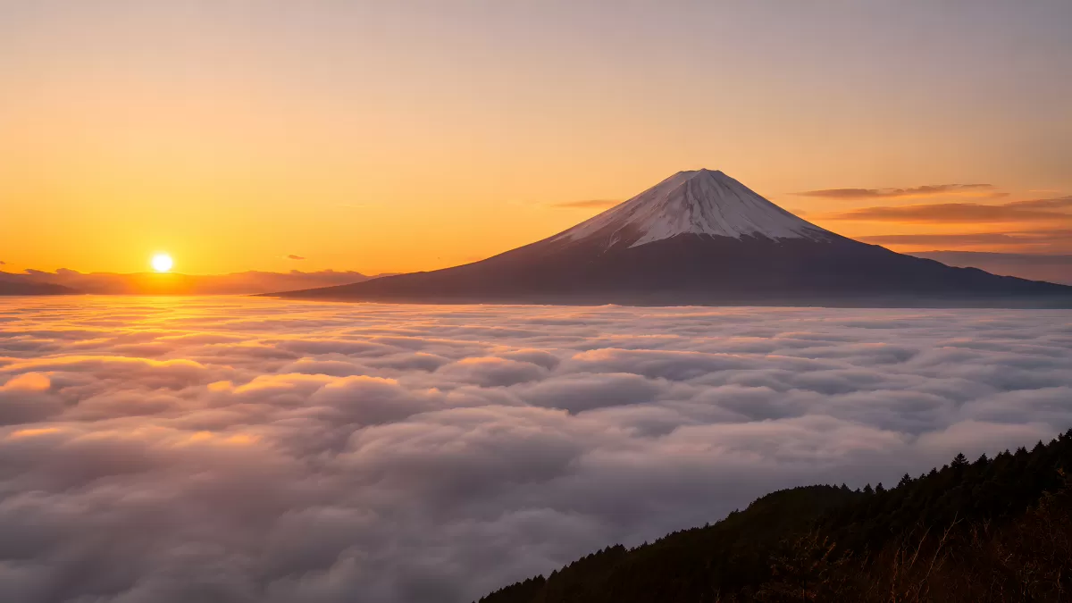 Fujisan über Wolkenmeer bei goldenem Sonnenaufgang