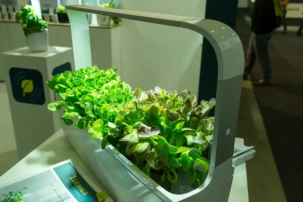 Full automated indoor T-series kitchen garden with lighting by tregren
