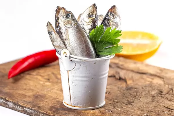 Full bucket of fish, close-up