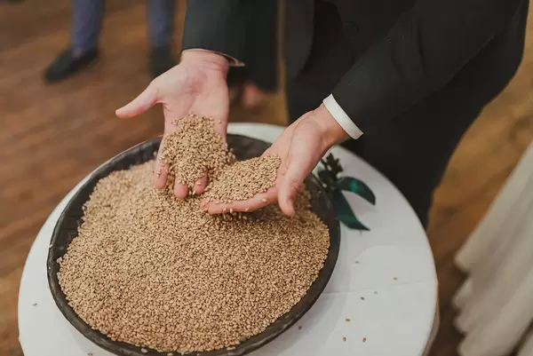 Full Hands Of BArley Seeds (Flip 2019)